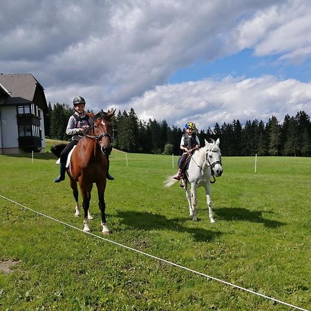 Willa Erholung Am Bauernhof Bei Familie Seidl / Messner Zeutschach Zewnętrze zdjęcie