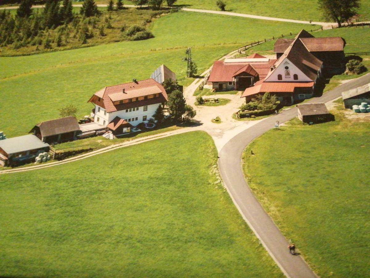 Willa Erholung Am Bauernhof Bei Familie Seidl / Messner Zeutschach Zewnętrze zdjęcie