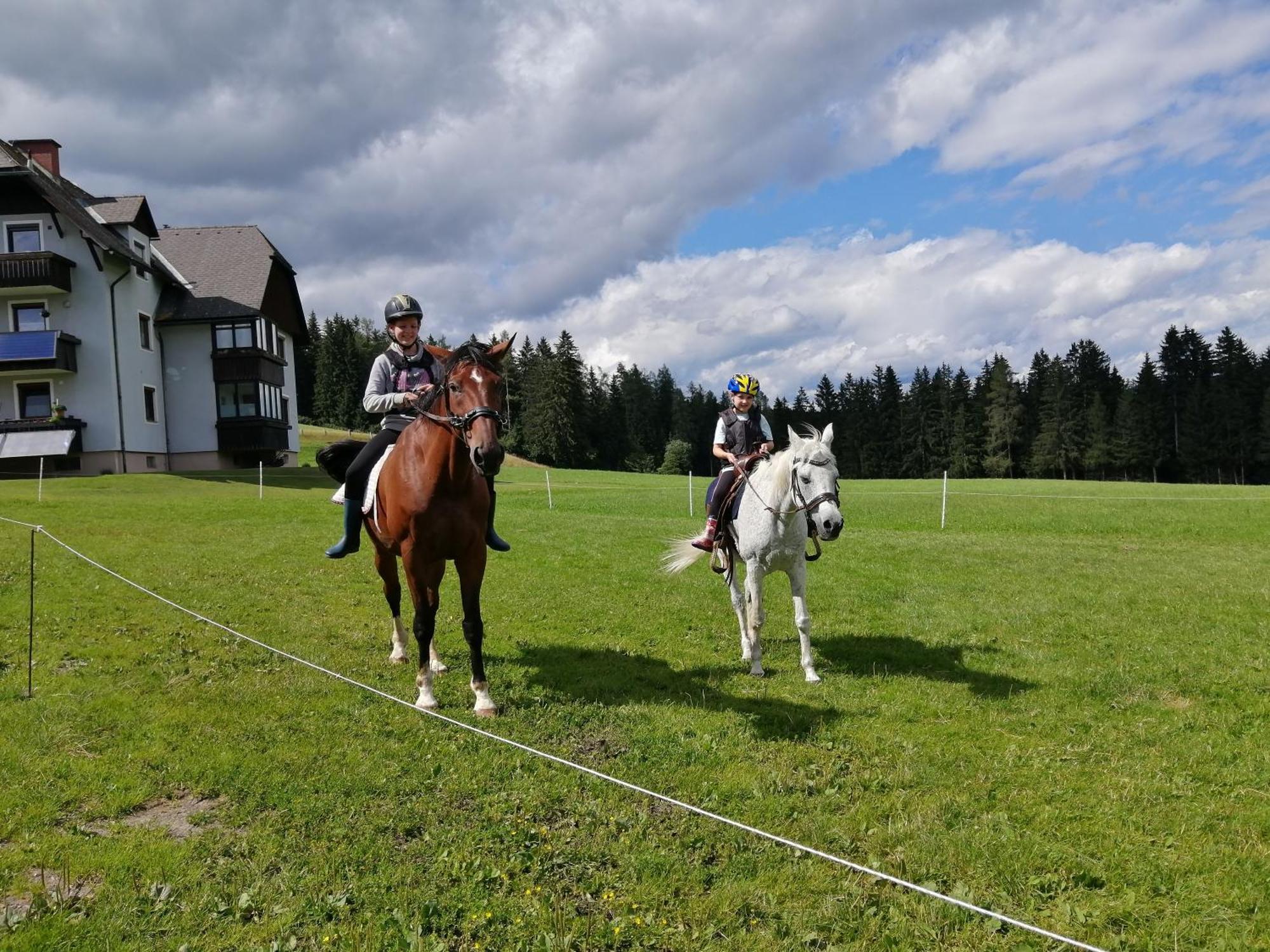 Willa Erholung Am Bauernhof Bei Familie Seidl / Messner Zeutschach Zewnętrze zdjęcie
