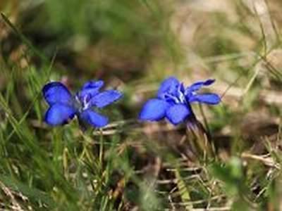 Willa Erholung Am Bauernhof Bei Familie Seidl / Messner Zeutschach Zewnętrze zdjęcie