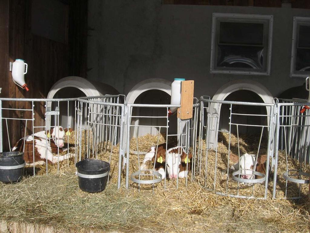 Willa Erholung Am Bauernhof Bei Familie Seidl / Messner Zeutschach Zewnętrze zdjęcie