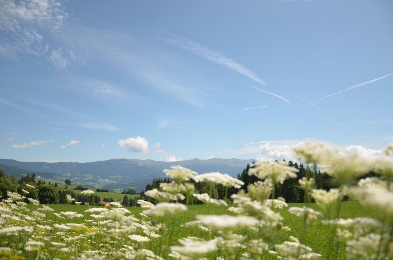 Willa Erholung Am Bauernhof Bei Familie Seidl / Messner Zeutschach Zewnętrze zdjęcie