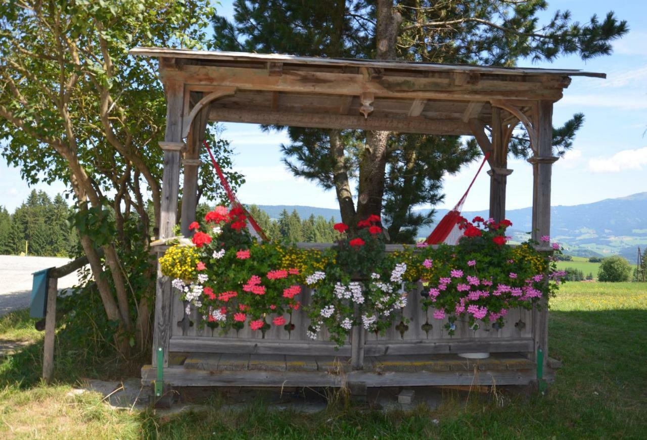 Willa Erholung Am Bauernhof Bei Familie Seidl / Messner Zeutschach Zewnętrze zdjęcie